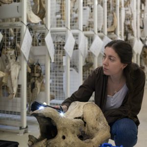 Séance de GoScan - Andréa Filippo @Agnes_Iatzoura