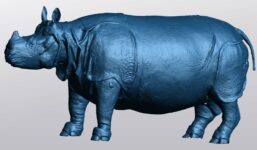 Modèle 3D issu de la numérisation au scanner surfacique à lumière structurée de la naturalisation du Rhinocéros de Versailles - @e-COL+