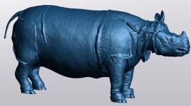 Modèle 3D issu de la numérisation au scanner surfacique à lumière structurée de la naturalisation du Rhinocéros de Versailles - @e-COL+