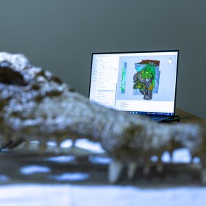 Séance de numérisation surfacique avec le scanner Artec Eva par Nicolas Rinder, UCBL - @Simon_Bianchetti