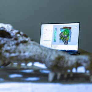 Séance de numérisation surfacique avec le scanner Artec Eva par Nicolas Rinder, UCBL - @Simon_Bianchetti / @CNRS