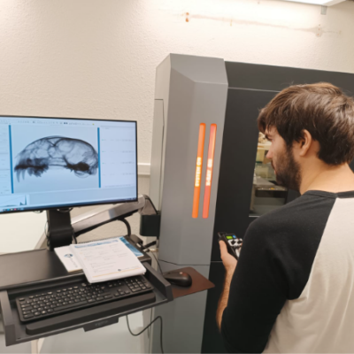 Séance de microtomographie avec Killian Leblanc, MNHN @Jonathan_Blettery